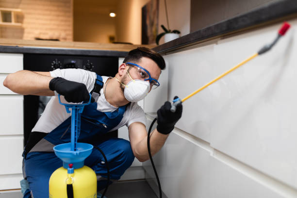Best Ant Control Services  in Orange Lake, NY