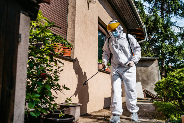 Best Best Pest Control Companies  in Orange Lake, NY