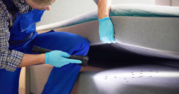 Best Affordable Pest Control Services  in Orange Lake, NY